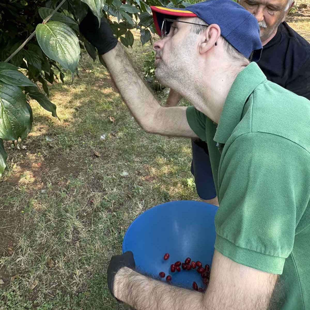 Συλλέξαμε κράνα στο πλαίσιο των υπαίθριων δραστηριοτήτων μας