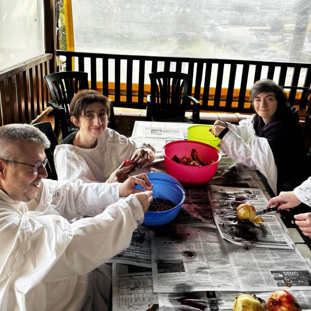 Καθαρίσαμε ρόδια και συλλέξαμε τους σπόρους